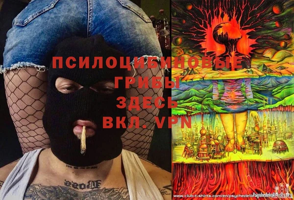 бошки Белокуриха