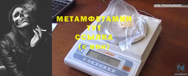 бошки Белокуриха