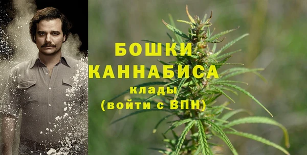 хмурый Белоозёрский