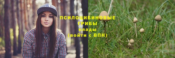бошки Белокуриха