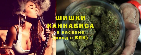 бошки Белокуриха