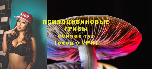 хмурый Белоозёрский